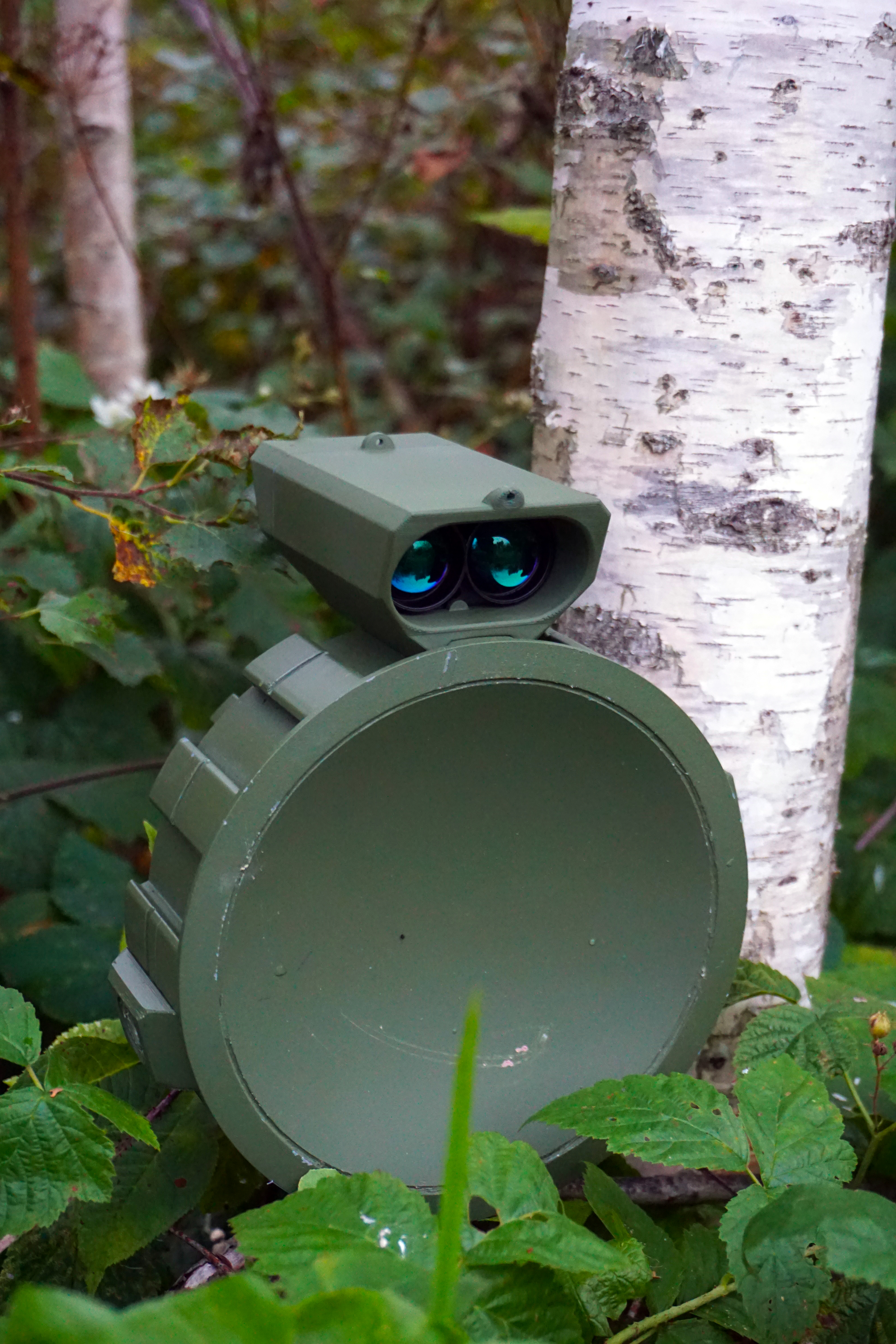 Sensor icon